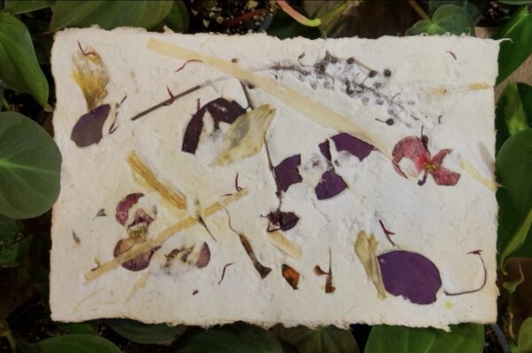 Papermaking: Basics and Beyond - Image 2